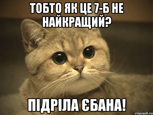 Тобто як це 7-Б не найкращий? Підріла Єбана!, Мем Пидрила ебаная котик