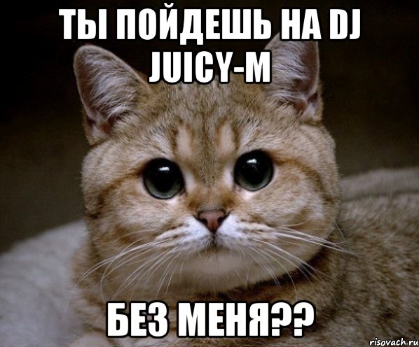 ТЫ ПОЙДЕШЬ НА DJ JUICY-M БЕЗ МЕНЯ??, Мем Пидрила Ебаная