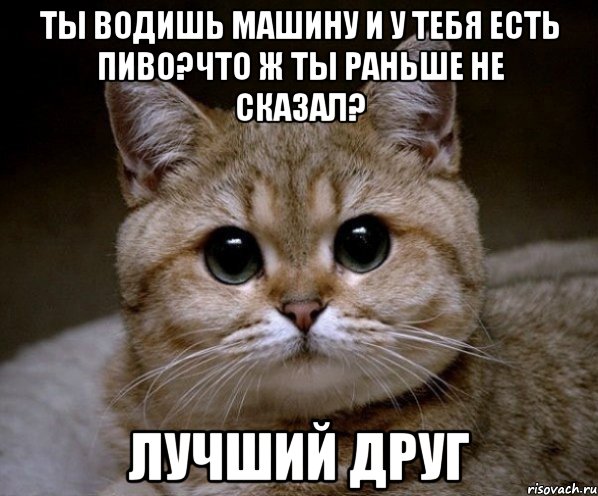 ты водишь машину и у тебя есть пиво?что ж ты раньше не сказал? лучший друг, Мем Пидрила Ебаная