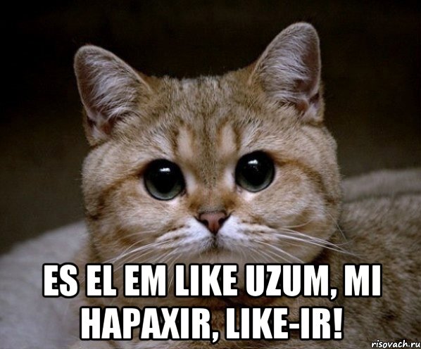  Es el em LIKE uzum, mi hapaxir, LIKE-ir!, Мем Пидрила Ебаная