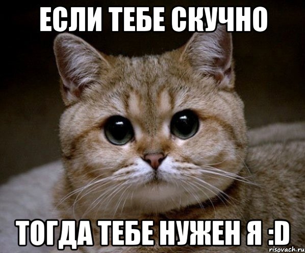 Если тебе скучно Тогда тебе нужен я :D, Мем Пидрила Ебаная