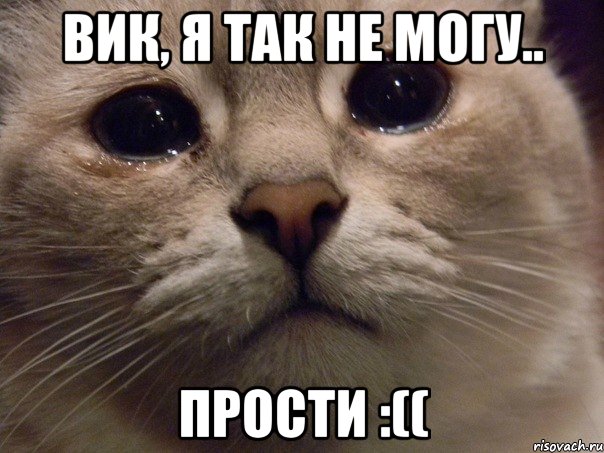 Вик, я так не могу.. Прости :((, Мем   В мире грустит один котик