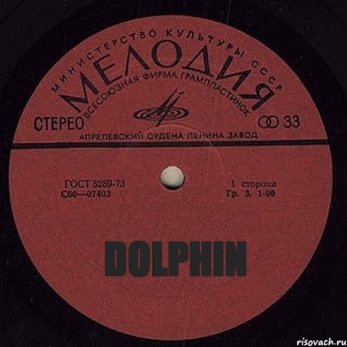 DOLPHIN, Комикс пластиночка