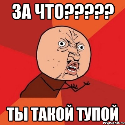 За что????? ты такой тупой, Мем Почему