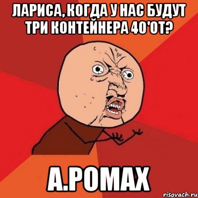 Лариса, когда у нас будут три контейнера 40'OT? А.Ромах, Мем Почему