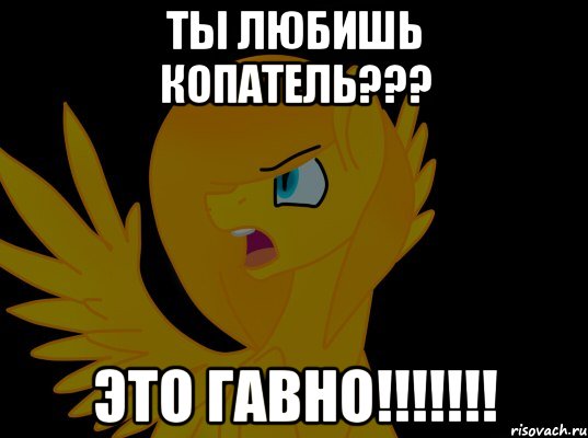 ТЫ ЛЮБИШЬ КОПАТЕЛЬ??? ЭТО ГАВНО!!!!!!!, Мем  Пони1