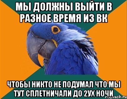 Мы должны выйти в разное время из вк Чтобы никто не подумал что мы тут сплетничали до 2ух ночи, Мем Попугай параноик