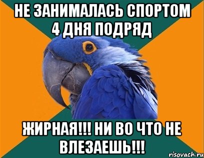 Не занималась спортом 4 дня подряд ЖИРНАЯ!!! Ни во что не влезаешь!!!, Мем Попугай параноик