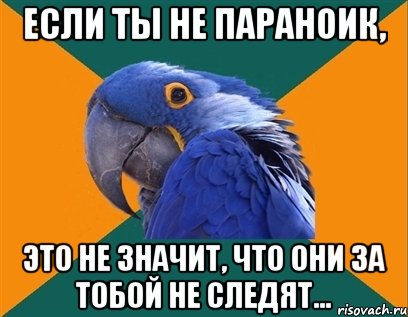 Если ты не параноик, Это не значит, что они за тобой не следят..., Мем Попугай параноик