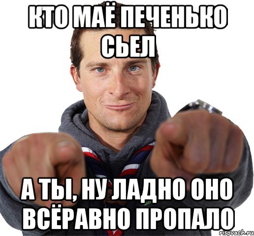 кто маё печенько сьел а ты, ну ладно оно всёравно пропало, Мем прикол