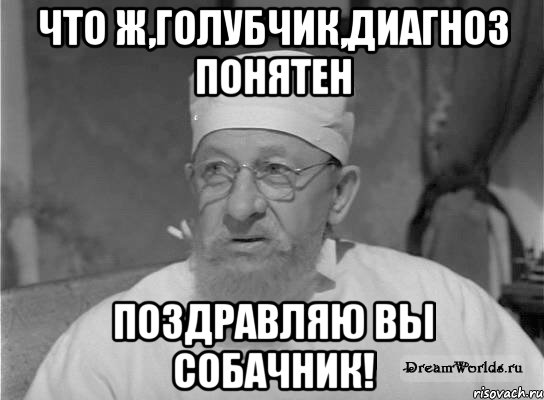 Что ж,голубчик,диагноз понятен Поздравляю вы собачник!, Мем Профессор Преображенский