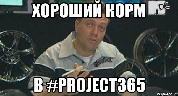 хороший корм в #project365, Мем Монитор (тачка на прокачку)