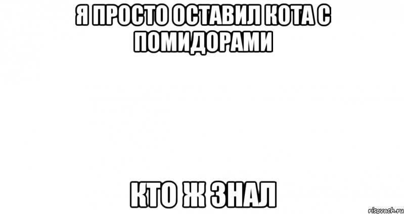 Я просто оставил кота с помидорами Кто ж знал, Мем Пустой лист