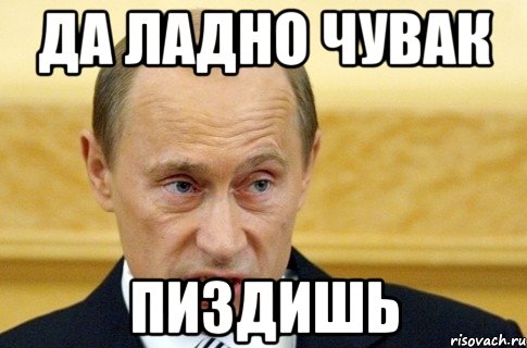 Да ладно чувак Пиздишь, Мем путин