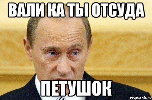 Вали ка ты отсуда Петушок, Мем путин