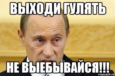 Выходи гулять НЕ выебывайся!!!, Мем путин