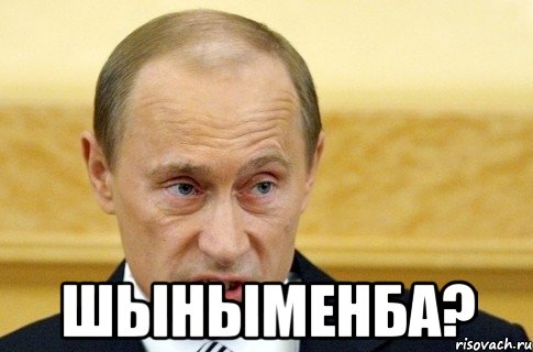  Шыныменба?, Мем путин