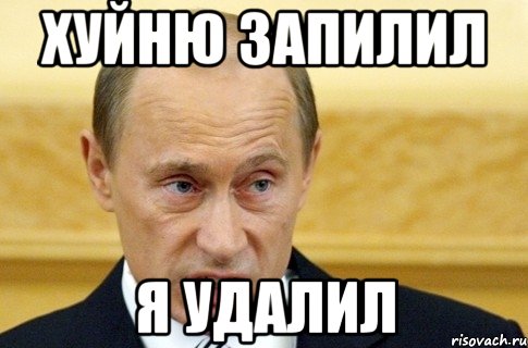 хуйню запилил я удалил, Мем путин