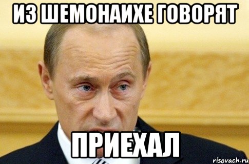 из шемонаихе говорят приехал, Мем путин