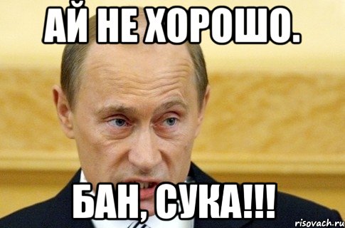 Ай не хорошо. Бан, сука!!!, Мем путин