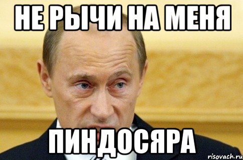 не рычи на меня пиндосяра, Мем путин