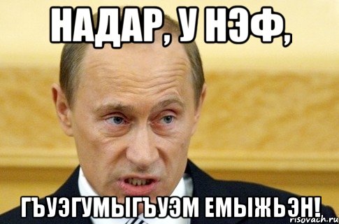 НАДАР, у нэф, Гъуэгумыгъуэм емыжьэн!, Мем путин