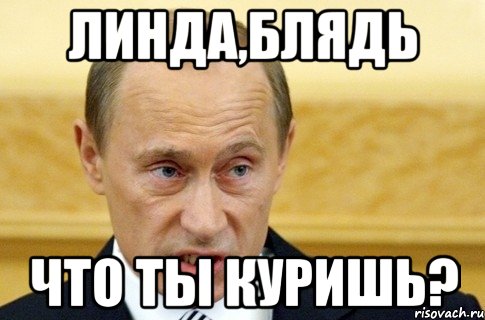 Линда,блядь Что ты куришь?, Мем путин