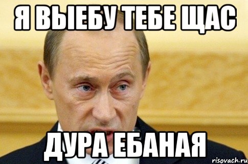 я выебу тебе Щас дура ебаная, Мем путин