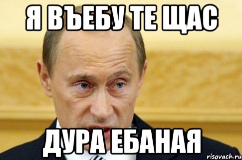 я въебу те Щас дура ебаная, Мем путин