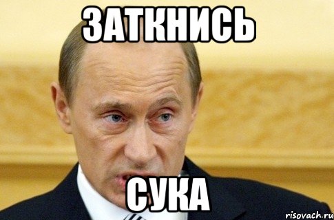 заткнись сука, Мем путин