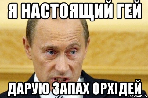 Я НАСТОЯЩИЙ ГЕЙ ДАРУЮ ЗАПАХ ОРХІДЕЙ, Мем путин