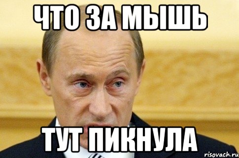 Что за мышь тут пикнула, Мем путин