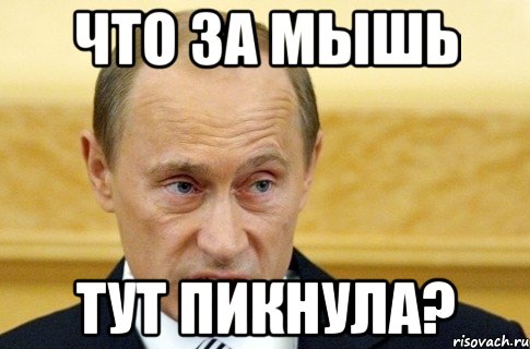 Что за мышь тут пикнула?, Мем путин