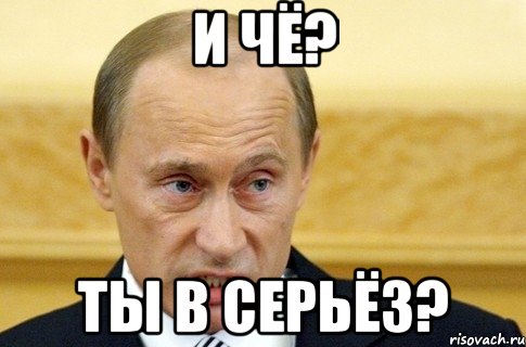 и чё? ты в серьёз?, Мем путин