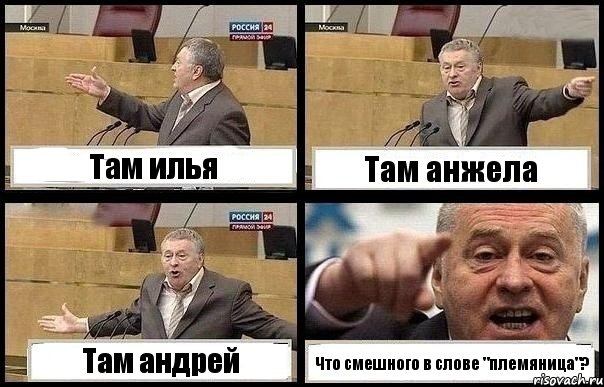 Там илья Там анжела Там андрей Что смешного в слове "племяница"?, Комикс с Жириновским