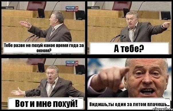 Тебе разве не похуй какое время года за окном? А тебе? Вот и мне похуй! Видишь,ты один за летом плачешь..., Комикс с Жириновским