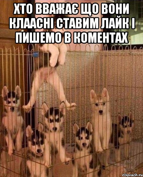 Хто вважає що вони клаасні ставим лайк і пишемо в коментах , Мем Сабаке-асуждаке