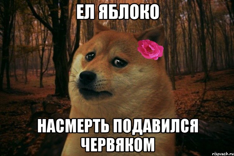 Ел яблоко Насмерть подавился червяком, Мем  SAD DOGE GIRL