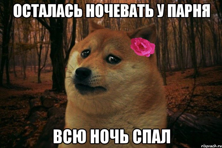 осталась ночевать у парня всю ночь спал, Мем  SAD DOGE GIRL