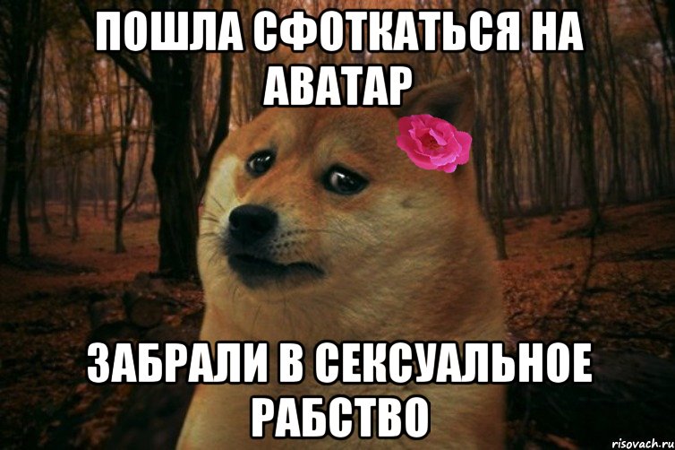 пошла сфоткаться на аватар забрали в сексуальное рабство, Мем  SAD DOGE GIRL