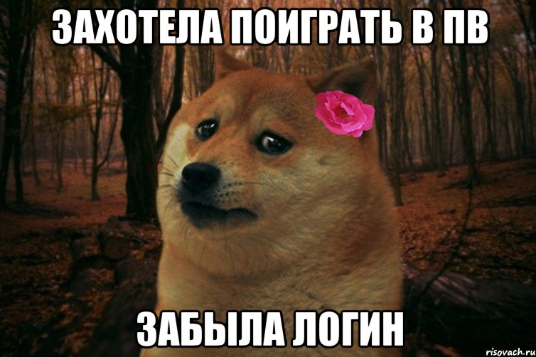 захотела поиграть в ПВ забыла логин, Мем  SAD DOGE GIRL