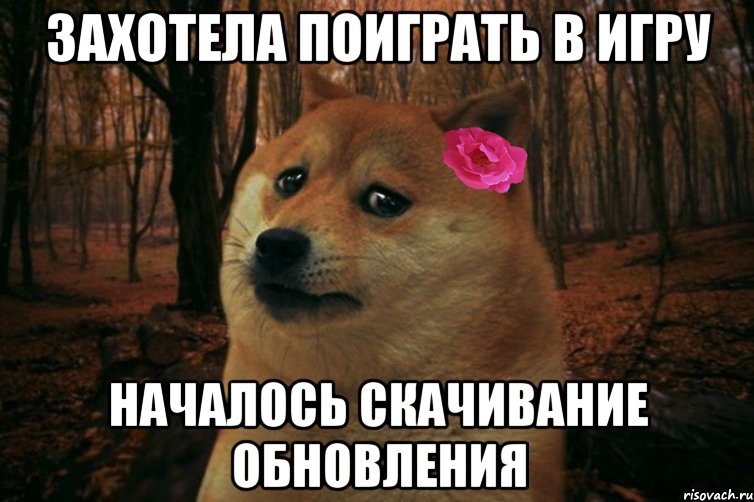 Захотела поиграть в игру началось скачивание обновления, Мем  SAD DOGE GIRL