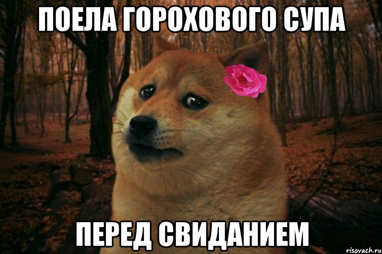 Поела горохового супа Перед свиданием, Мем  SAD DOGE GIRL