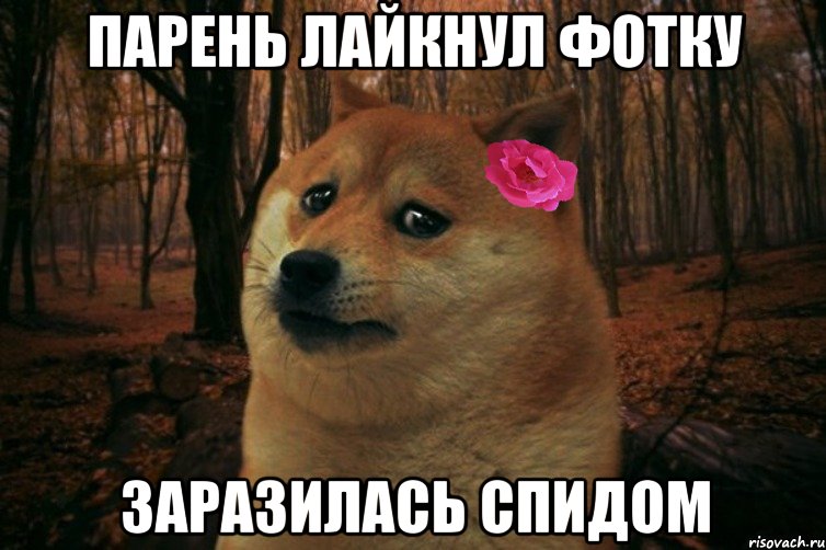 парень лайкнул фотку заразилась спидом, Мем  SAD DOGE GIRL