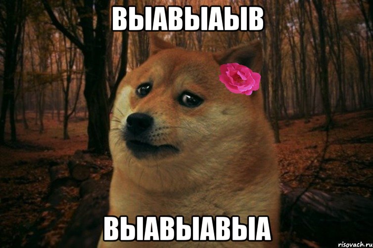 выавыаыв выавыавыа, Мем  SAD DOGE GIRL