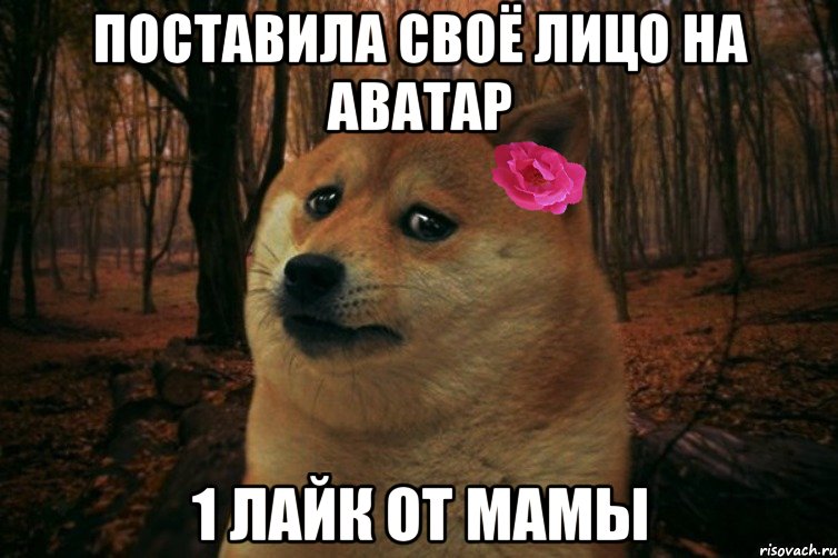 поставила своё лицо на аватар 1 лайк от мамы, Мем  SAD DOGE GIRL