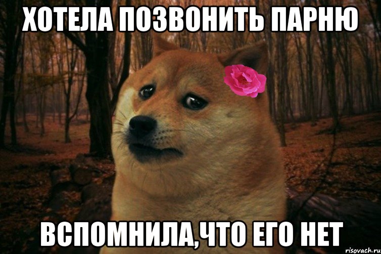 Хотела позвонить парню вспомнила,что его нет, Мем  SAD DOGE GIRL