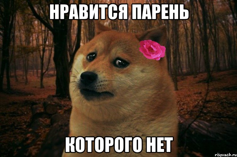 нравится парень которого нет, Мем  SAD DOGE GIRL