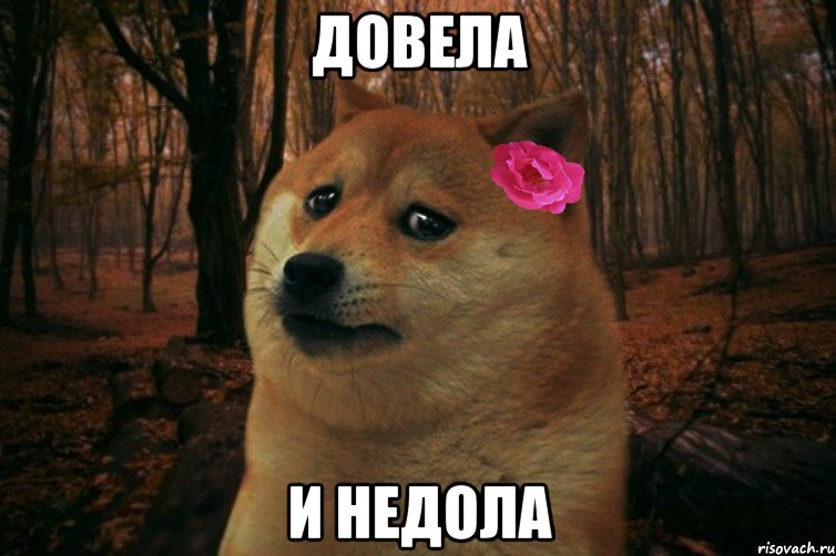 Довела и недола, Мем  SAD DOGE GIRL