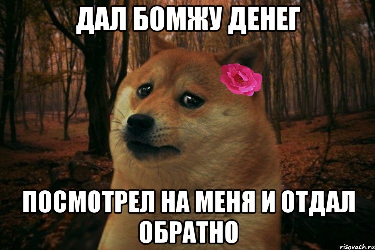 Дал бомжу денег Посмотрел на меня и отдал обратно, Мем  SAD DOGE GIRL